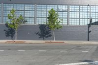 there is a bike path painted on the sidewalk of this building, and two trees are visible