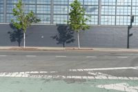 there is a bike path painted on the sidewalk of this building, and two trees are visible