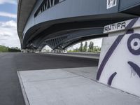 Urban Infrastructure: Bridges and Underpasses of Asphalt and Concrete