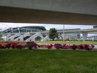grass and flowers are growing below the sidewalk by an urban building and steps on the right