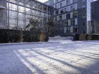 Urban Building with Windows: A Road Surrounded by Vegetation