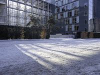 Urban Building with Windows: A Road Surrounded by Vegetation