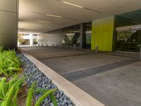 a concrete walkway surrounded by small rocks and shrubs is lit up on a sunny day