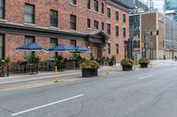 an empty city street with a bunch of plants on the curb and umbrellas on some buildings