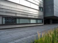 a person on a bench near a building with grass growing inside it and a sidewalk next to it