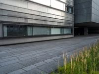 a person on a bench near a building with grass growing inside it and a sidewalk next to it