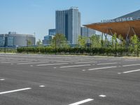 Urban City Life: Asphalt Surfaces and Parking Lot