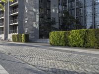 a woman riding a bike down the middle of a road next to a tall building