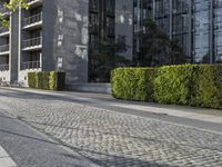 a woman riding a bike down the middle of a road next to a tall building