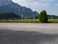 a green tree in front of mountains on a street with other vehicles in the background