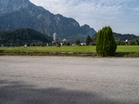 a green tree in front of mountains on a street with other vehicles in the background