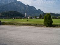 a green tree in front of mountains on a street with other vehicles in the background