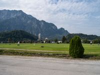 a green tree in front of mountains on a street with other vehicles in the background