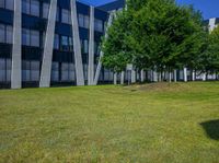 a green lawn with many trees and a building behind it is in the foreground