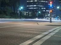 street lights and a bird at night in urban city setting, with buildings in the background