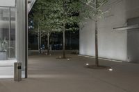 a street at night, some potted trees and a walkway and stairs in the background