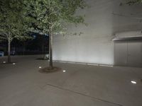 a street at night, some potted trees and a walkway and stairs in the background