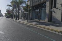 Urban City Road with Low Building and Tree Line