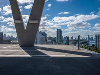 an urban city skyline is in the distance, and a plane flies over it and above