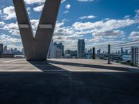 an urban city skyline is in the distance, and a plane flies over it and above