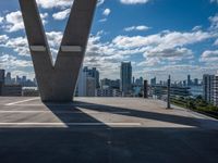 an urban city skyline is in the distance, and a plane flies over it and above