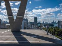 an urban city skyline is in the distance, and a plane flies over it and above