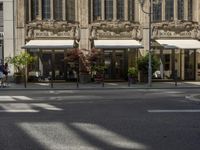 Urban City Street with Buildings and Trees