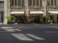 Urban City Street with Buildings and Trees