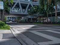 a street with crosswalk and traffic in an urban setting with palm trees on either side