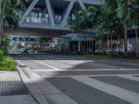 a street with crosswalk and traffic in an urban setting with palm trees on either side