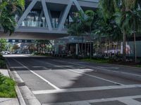 a street with crosswalk and traffic in an urban setting with palm trees on either side