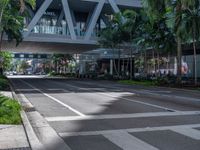 a street with crosswalk and traffic in an urban setting with palm trees on either side