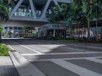 a street with crosswalk and traffic in an urban setting with palm trees on either side