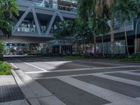 a street with crosswalk and traffic in an urban setting with palm trees on either side