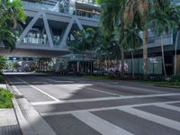 a street with crosswalk and traffic in an urban setting with palm trees on either side