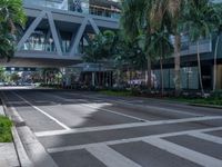 a street with crosswalk and traffic in an urban setting with palm trees on either side