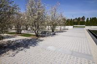 Urban Cityscape with Architecture, Trees, and Green Grass