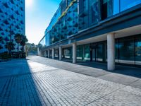 an empty parking area between two tall buildings next to water fountains and palm trees are seen