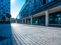 an empty parking area between two tall buildings next to water fountains and palm trees are seen