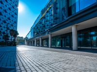 an empty parking area between two tall buildings next to water fountains and palm trees are seen