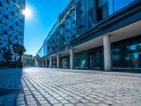 an empty parking area between two tall buildings next to water fountains and palm trees are seen