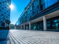 an empty parking area between two tall buildings next to water fountains and palm trees are seen