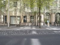 trees and benches along an asphalt road in front of a tall building with arched windows