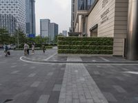 Urban Cityscape at Dawn in Shenzhen, China