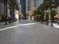 a row of benches and palm trees next to tall buildings in a city street near the sidewalk