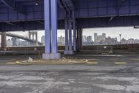 a concrete walkway with buildings in the background with one dog sitting on the street curb