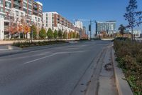 the empty road is surrounded by the urban buildings and shrubs on both sides of the street