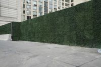 a tall green grass covered fence next to a sidewalk with a traffic light hanging on the wall