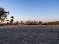 Urban Cityscape of Los Angeles at Dawn