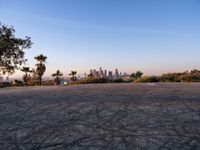 Urban Cityscape of Los Angeles at Dawn